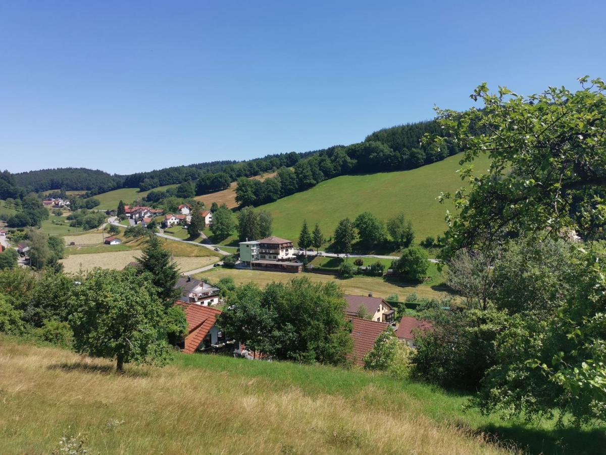 Hotel Landgasthof Grüner Baum 3*